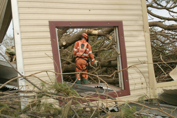 Best Emergency Tree Removal  in Homeland, GA